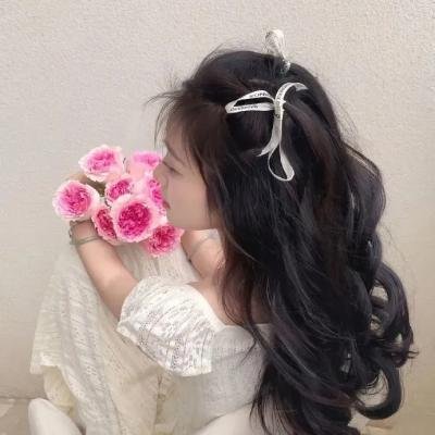 少年岳飞传奇